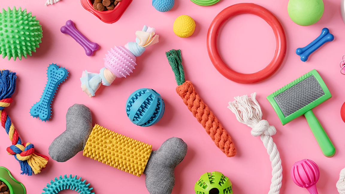 Pet care concept, various pet accessories and tools, toys, balls, brushes on pink background, flat lay pattern