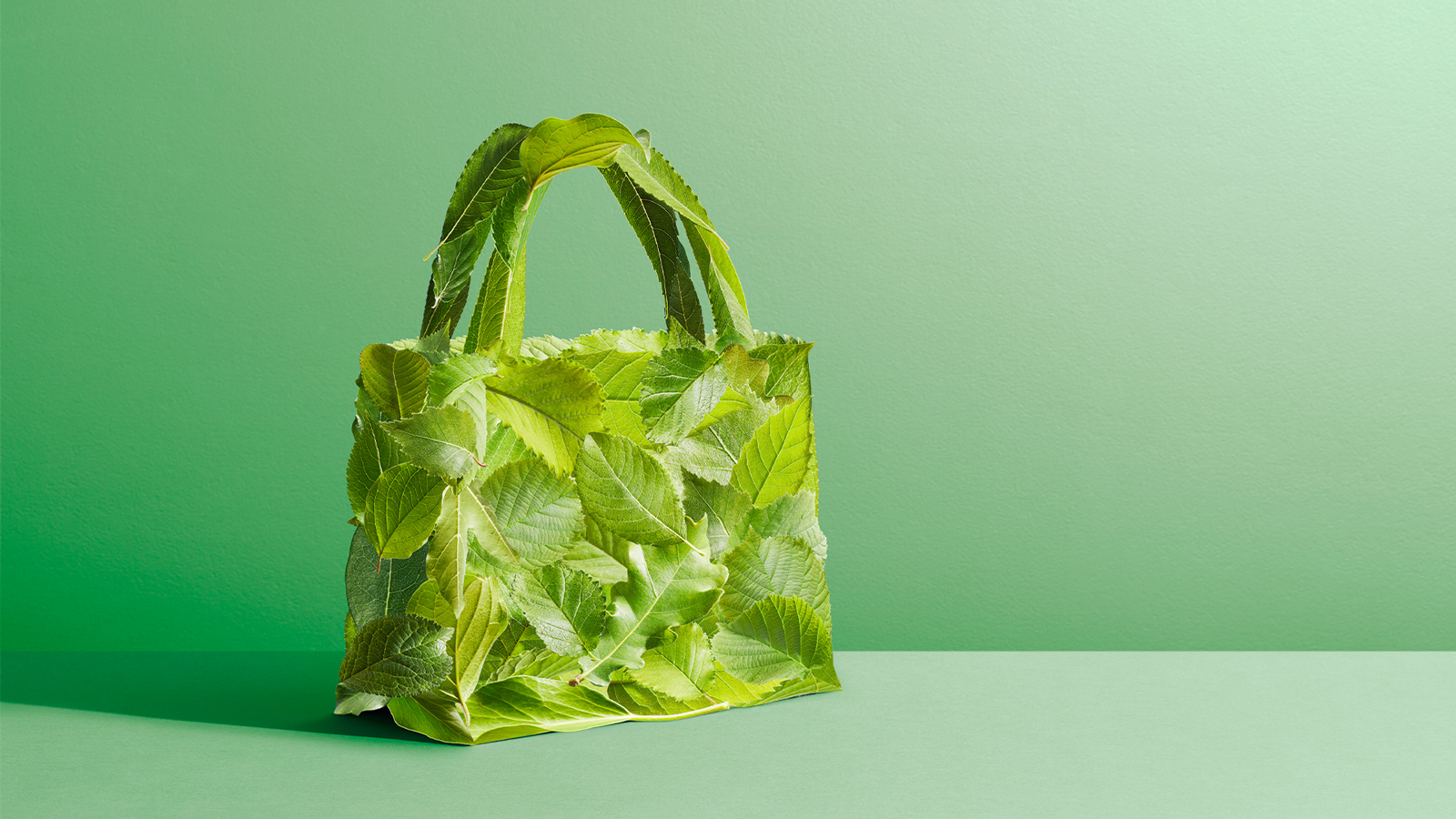 The Week in Retail: June 7, 2024 edition