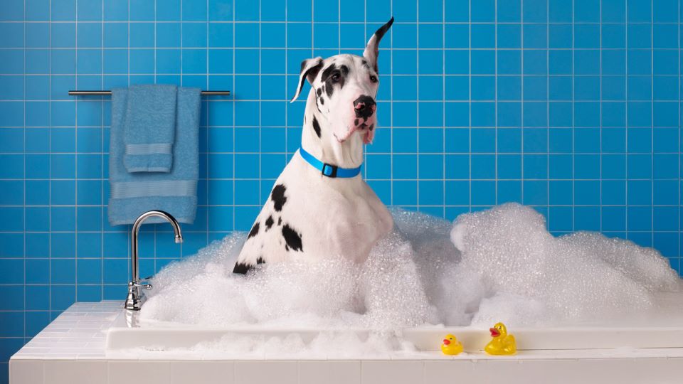 The Week in Consumer Packaged Goods: April 4, 2025 edition