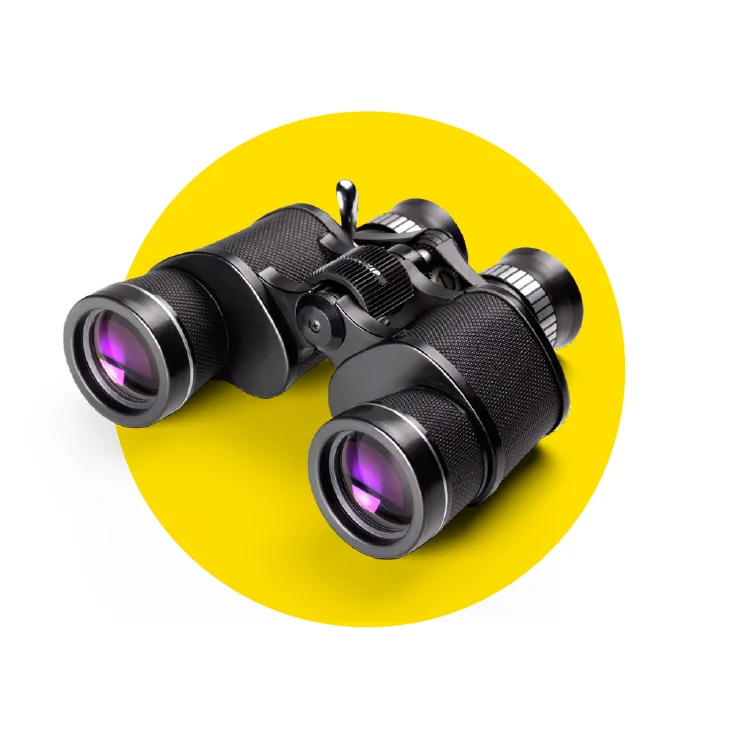 Insights-MarketingEfficiencyAudit-Inset-Binoculars